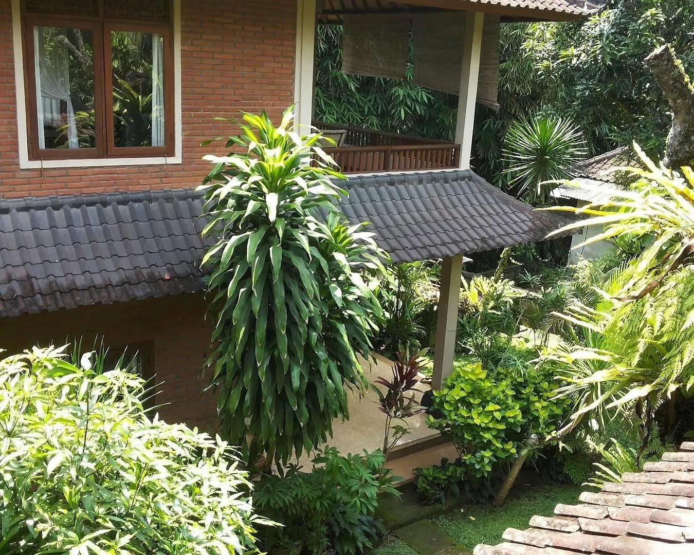 Ben'S Homestay Ubud  Indonesia