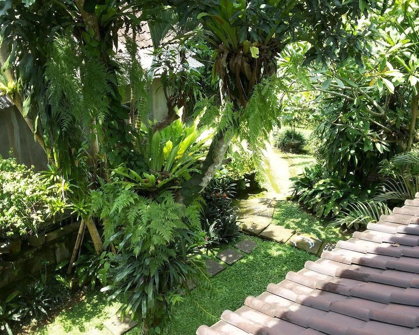 Ben'S Homestay Ubud   Ubud (Bali)