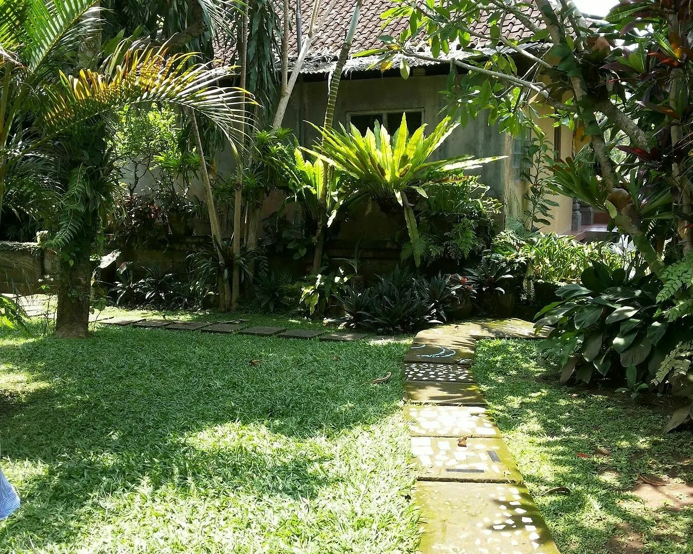 Ben'S Homestay Ubud  Indonesia